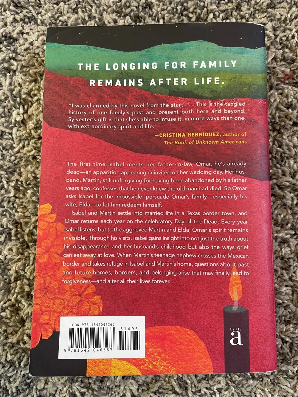 Paperback book: Everyone knows you go home by Natalie Sylvester